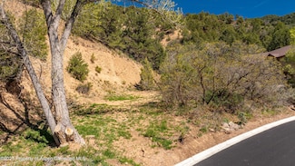 TBD Lincolnwood Dr, Glenwood Springs, CO 81601