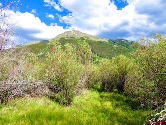 7th & 8th Bluff St, Silverton, CO 81433