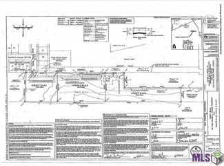 B-1-A-2 Spring House Dr, Central, LA 70739