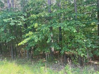 39 Atrayente Way, Hot Springs Village, AR 71909