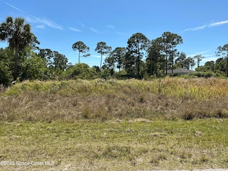 1556 Trojan St SE, Palm Bay, FL 32909