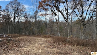 0 Gaddie Cottrell Unit SC47484, Bonnieville, KY 42713