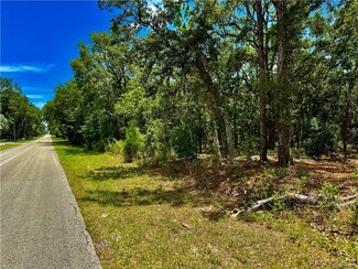 798 W Pearson St, Hernando, FL 34442