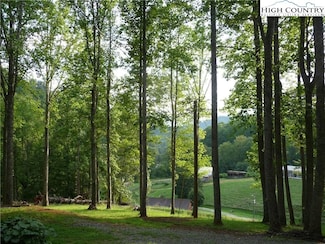 tbd Joe Shoemaker Rd, Vilas, NC 28692