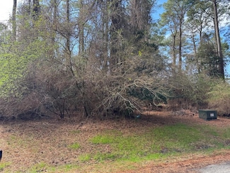 Lot 1095 Amidship Dr Unit 1095, Captains Cove, VA 23356