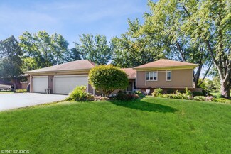22 Plum Ct, Sleepy Hollow, IL 60118