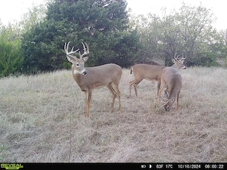 E Mcclain Rd, Jefferson, OK 73759