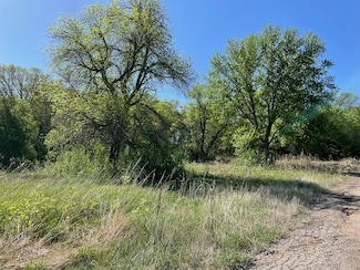 TBD U S Highway 212, Montevideo, MN 56265