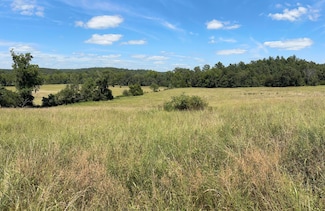 3922 County Road 534, Ellington, MO 63638