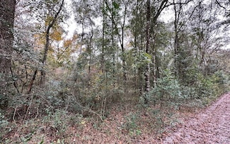 TBD Off 10th Ter Lot 14, Live Oak, FL 32060