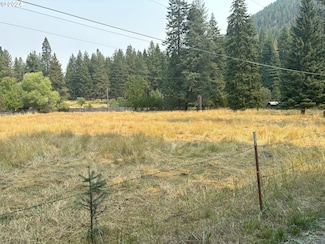 0 Meadow Ln Unit 24193229, Wallowa Lake, OR 97846