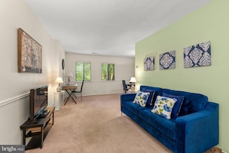 9 Windblown Ct Unit 301, Baltimore, MD 21209