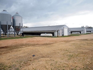 335 Blackwell Rd, Mendenhall, MS 39114
