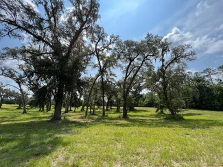 0 Tbd Nw 127th Ct Unit MFROM665207, Ocala, FL 34482