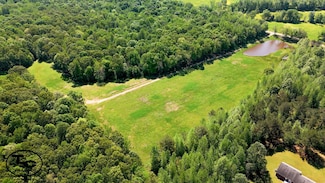 0 Mifflin Rd, Beech Bluff, TN 38313