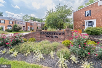 6558 Gildar St, Alexandria, VA 22310