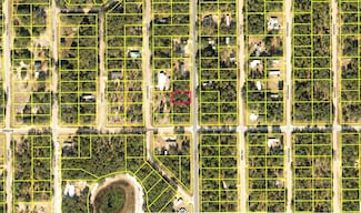 0 Unassigned Location, Interlachen, FL 32148