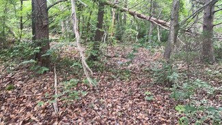 0 S Oak St, Spindale, NC 28160