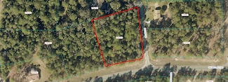 TBD SW 205th Cir, Dunnellon, FL 34431
