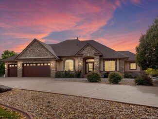 14577 Galena Ct, Brighton, CO 80602