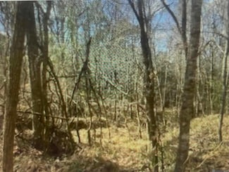 00 Turkey Creek Rd, Natchez, MS 39120