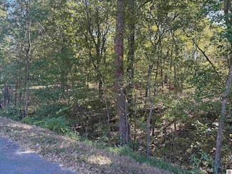 0000 Prince John Way, Calvert City, KY 42029