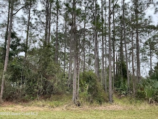 125 Santa Rosa Ave SW, Palm Bay, FL 32908