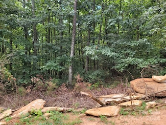 120 Rocky Mountain Rd, Casar, NC 28020
