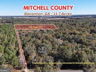 0 Brest Station Rd Unit 10642758, Baconton, GA 31716