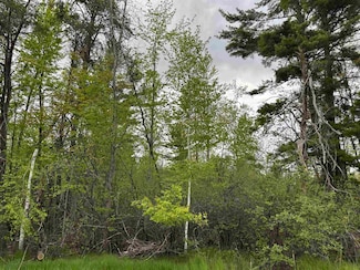 0 Mcgraw St, Peshtigo, WI 54157