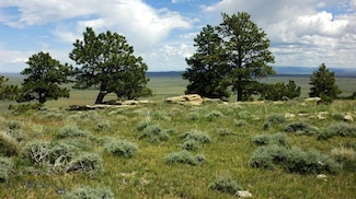 6625 Big Cheese Road Natrona Way, Other, WY 82646