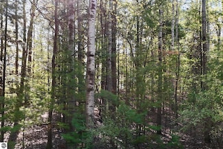 4616 Audubon Dr, Traverse City, MI 49686
