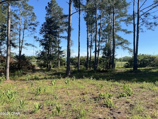 2338 Sweetgum Dr, Bonifay, FL 32425