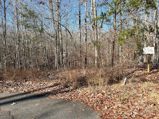 0 Lhasa Apso Ln Unit CAR4157960, Iron Station, NC 28080