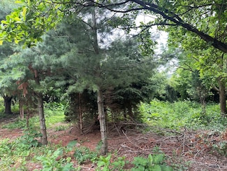 Lot 21 Country Club Dr, Kankakee, IL 60901