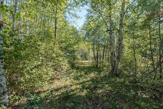 TBD Tract D Little Pine Rd, Brainerd, MN 56401