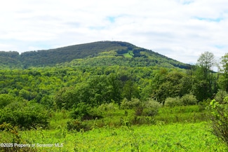 0 Lyon St, Clifford, PA 18470