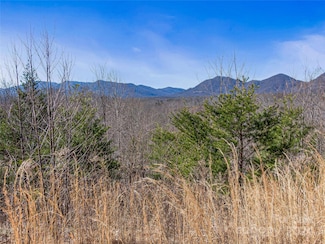 0000 Holland Dr Unit 40 & 41, Columbus, NC 28722