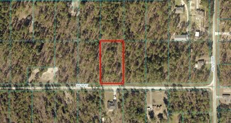 TBD LOT 4 SW 98th St, Dunnellon, FL 34432