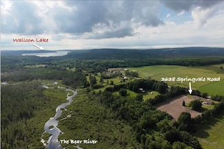 3638 Springvale Rd, Boyne Falls, MI 49713