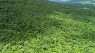 Map 402 Lot 7 Rd, Rumford, ME 04276