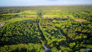 18 Acres S Chapel Hill Rd SW, Decatur, AL 35603