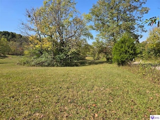 Lot 4 Guston Rd, Guston, KY 40142