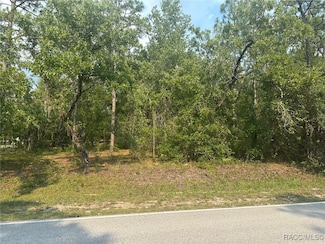 120 N Indianapolis Ave, Hernando, FL 34442