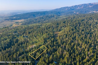 TBD Alpine Meadow Loop (13), Alpine, WY 83128