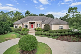 3915 N Grayhawk Loop, Lecanto, FL 34461