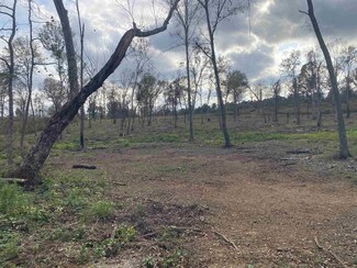 TBD Verbena Rd, Ore City, TX 75683