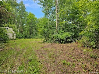 0 Ravenswood Rd Unit 20251017048, Kimball, MI 48074
