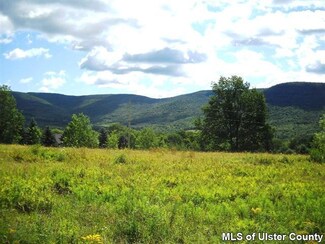 1250 Vega Mountain Rd, Denver, NY 12421