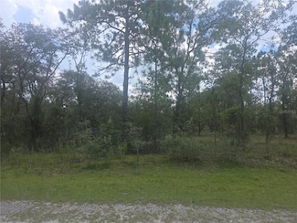Lot 3 SE 129 Ct, Dunnellon, FL 34431